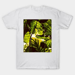 Nature tree T-Shirt